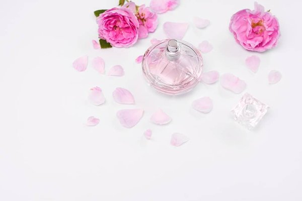 Des toilettes sèches en camping-car : le guide complet